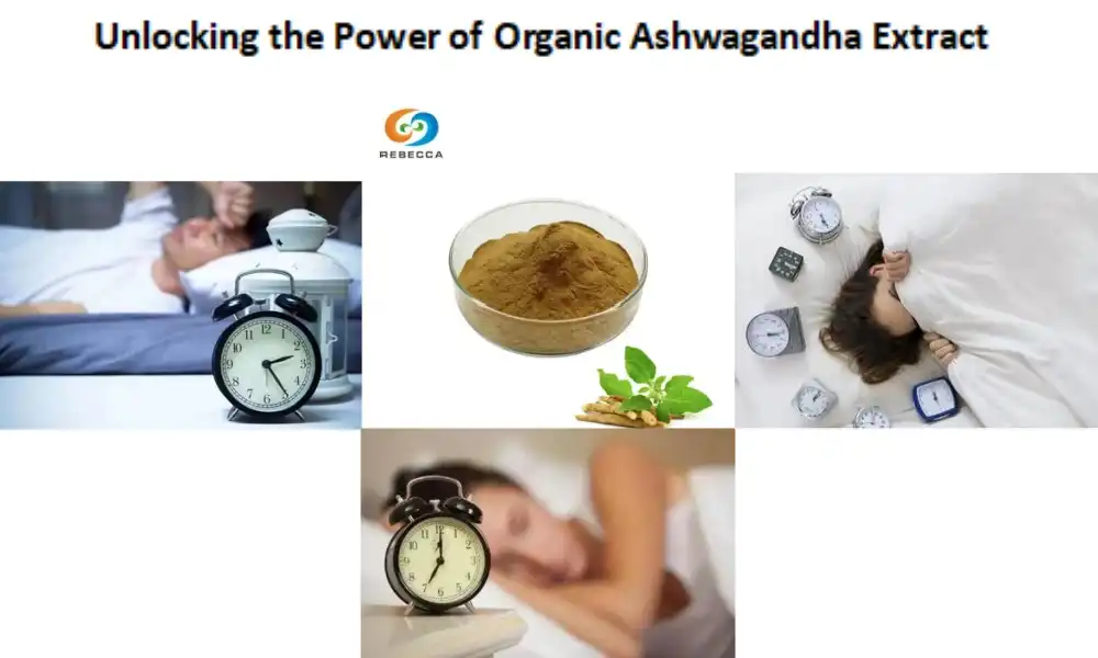 Unlocking the Power of Organic Ashwagandha Extract